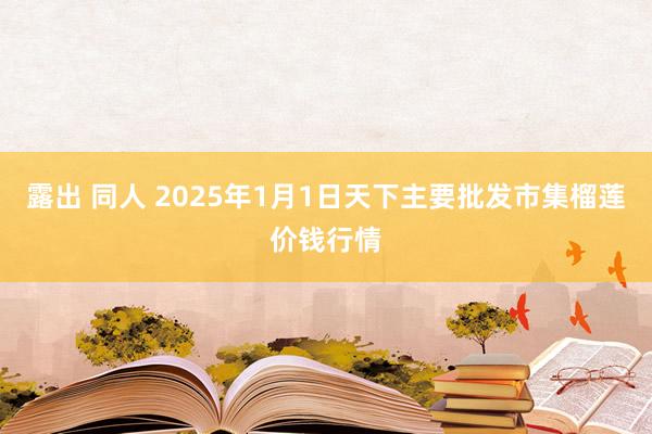 露出 同人 2025年1月1日天下主要批发市集榴莲价钱行情