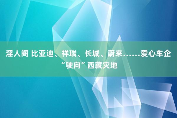 淫人阁 比亚迪、祥瑞、长城、蔚来……爱心车企“驶向”西藏灾地