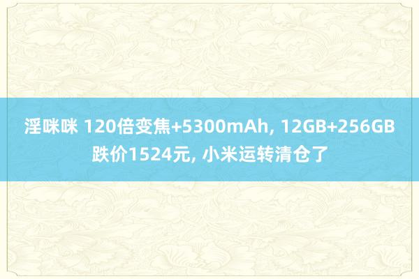 淫咪咪 120倍变焦+5300mAh， 12GB+256GB跌价1524元， 小米运转清仓了