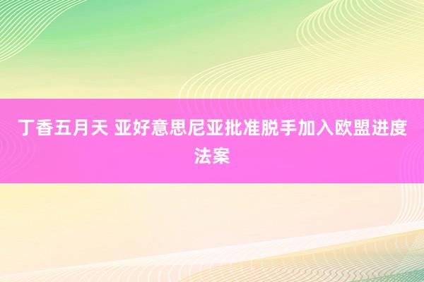 丁香五月天 亚好意思尼亚批准脱手加入欧盟进度法案