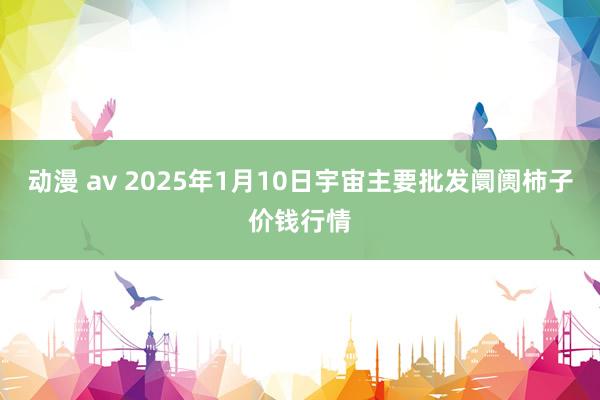 动漫 av 2025年1月10日宇宙主要批发阛阓柿子价钱行情