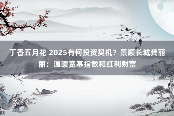 丁香五月花 2025有何投资契机？景顺长城龚丽丽：温暖宽基指数和红利财富