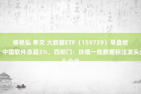 修艳弘 拳交 大数据ETF（159739）早盘收平，中国软件涨超3%，四部门：扶植一批数据标注龙头企业