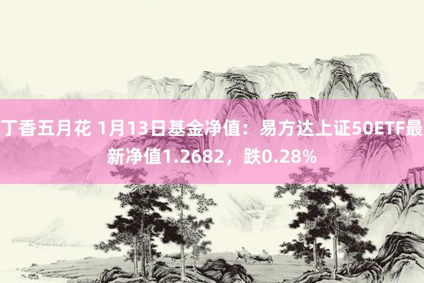 丁香五月花 1月13日基金净值：易方达上证50ETF最新净值1.2682，跌0.28%