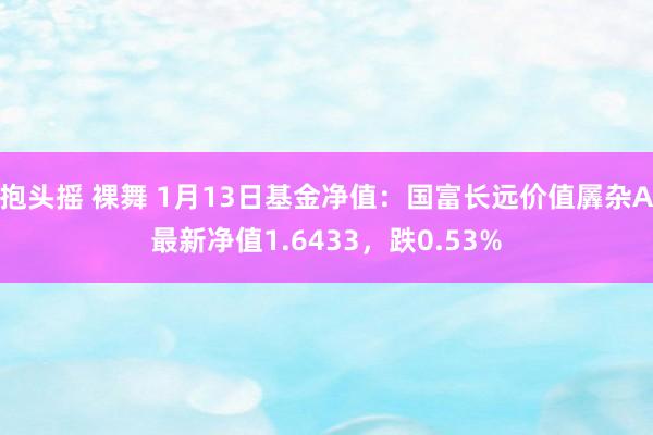 抱头摇 裸舞 1月13日基金净值：国富长远价值羼杂A最新净值1.6433，跌0.53%