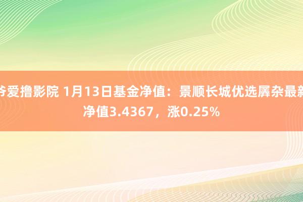 爷爱撸影院 1月13日基金净值：景顺长城优选羼杂最新净值3.4367，涨0.25%