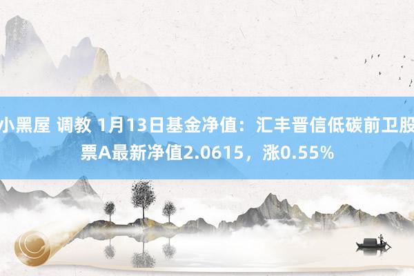 小黑屋 调教 1月13日基金净值：汇丰晋信低碳前卫股票A最新净值2.0615，涨0.55%