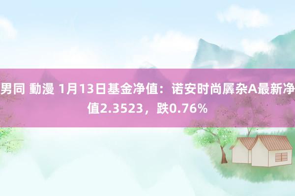 男同 動漫 1月13日基金净值：诺安时尚羼杂A最新净值2.3523，跌0.76%