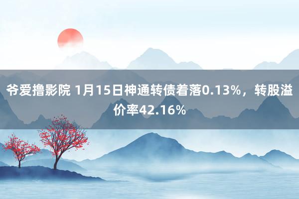 爷爱撸影院 1月15日神通转债着落0.13%，转股溢价率42.16%