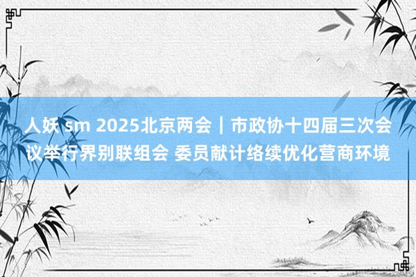 人妖 sm 2025北京两会｜市政协十四届三次会议举行界别联组会 委员献计络续优化营商环境