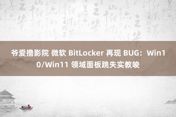 爷爱撸影院 微软 BitLocker 再现 BUG：Win10/Win11 领域面板跳失实教唆