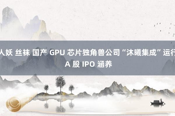 人妖 丝袜 国产 GPU 芯片独角兽公司“沐曦集成”运行 A 股 IPO 涵养