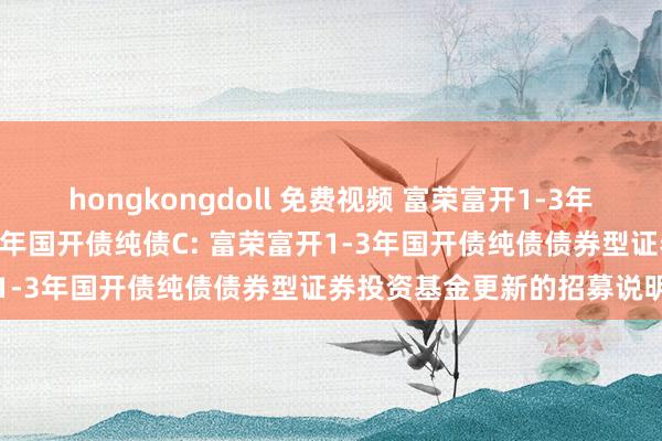 hongkongdoll 免费视频 富荣富开1-3年国开债纯债A，富荣富开1-3年国开债纯债C: 富荣富开1-3年国开债纯债债券型证券投资基金更新的招募说明书